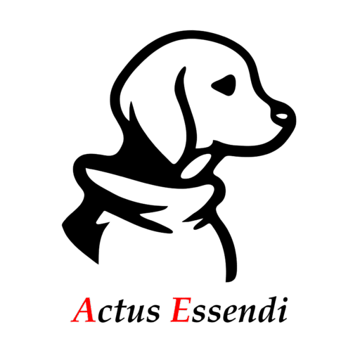 Editora Actus Essendi